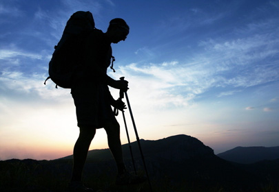 郑州旅行社税务登记证样本图片